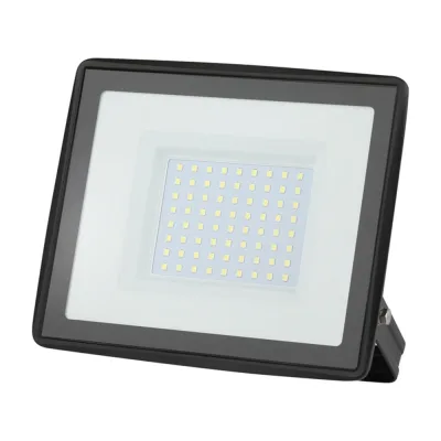 Прожектор светодиодный Эра LPR-02 6500К 100 Вт IP65 черный