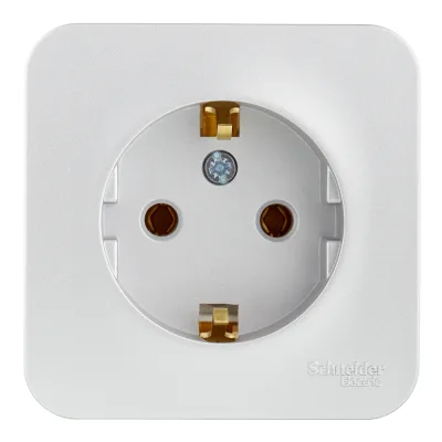 Розетка Systeme Electric Blanca накладная алюминий с заземлением (BLNRA010113)