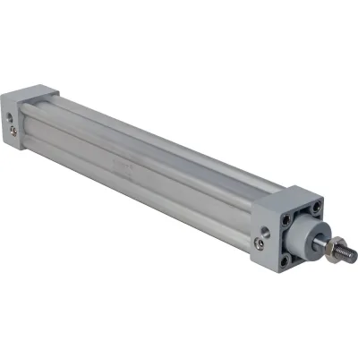 Пневмоцилиндр NBPT SI 100x150-S 81791