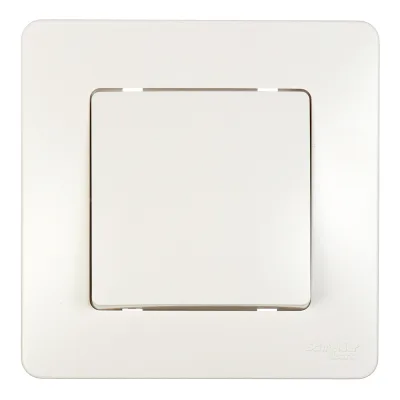 ΠΡΠΊΠ»ΡΡΠ°ΡΠ΅Π»Ρ Systeme Electric Blanca ΠΎΠ΄Π½ΠΎΠΊΠ»Π°Π²ΠΈΡΠ½ΡΠΉ Π²ΡΡΡΠ°ΠΈΠ²Π°Π΅ΠΌΡΠΉ ΠΌΠΎΠ»ΠΎΡΠ½ΡΠΉ (BLNVS010102)