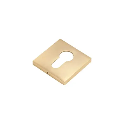 Накладки под евроцилиндр BUSSARE B0-40 W.GOLD Валлийское золото 940002023135