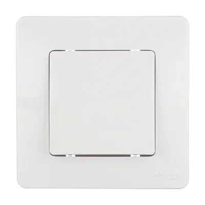 ΠΡΠΊΠ»ΡΡΠ°ΡΠ΅Π»Ρ Systeme Electric Blanca ΠΎΠ΄Π½ΠΎΠΊΠ»Π°Π²ΠΈΡΠ½ΡΠΉ Π²ΡΡΡΠ°ΠΈΠ²Π°Π΅ΠΌΡΠΉ Π±Π΅Π»ΡΠΉ (BLNVS010101)