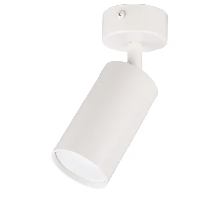 Π‘ΠΏΠΎΡ Ritter Arton GU10 40 ΠΡ 4 ΠΊΠ².ΠΌ Π±Π΅Π»ΡΠΉ IP20 (59964 7)