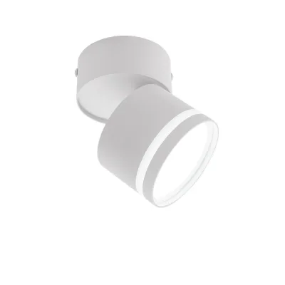Спот IN HOME НПБ GX53 24 Вт белый IP20 (4690612052243)