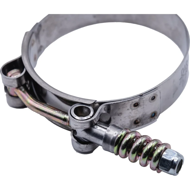 Π₯ΠΎΠΌΡΡ T-BOLT Ρ ΠΏΡΡΠΆΠΈΠ½ΠΎΠΉ 85-93/19 W2 DAR 52099