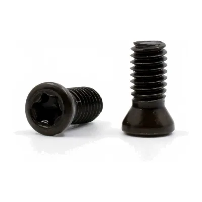 Винт для крепления пластин M5x12 Deskar 00-00035201