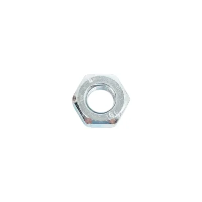 Гайка SWFS DIN934 М10, 5 шт., пакетик тов-092465