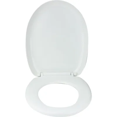 Сиденье для унитаза Сантис с микролифтом soft close 816 018959