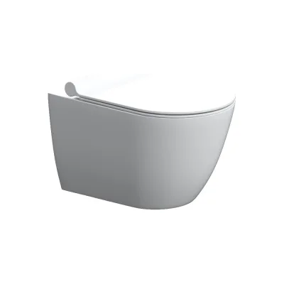Подвесной унитаз Damixa Scandinavian Pure без ободка с сиденьем микролифт DX36C1701SC