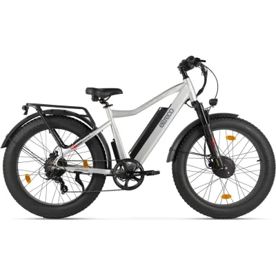 Электровелосипед BigCat Dual Next серебристый матовый-3179 Eltreco 026165-3179